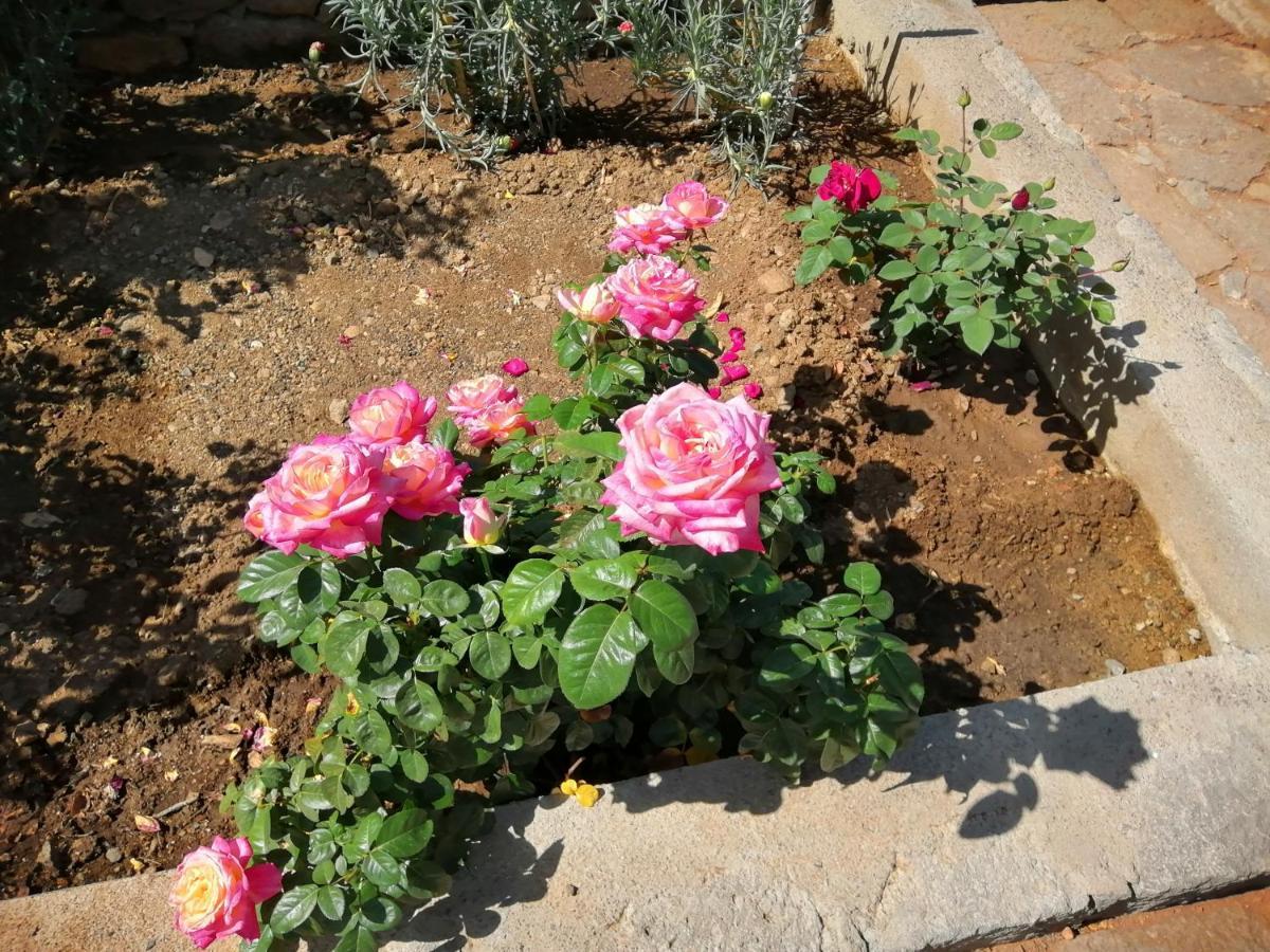 克鲁兹·德·特赫达Casa Rural La Solana别墅 外观 照片